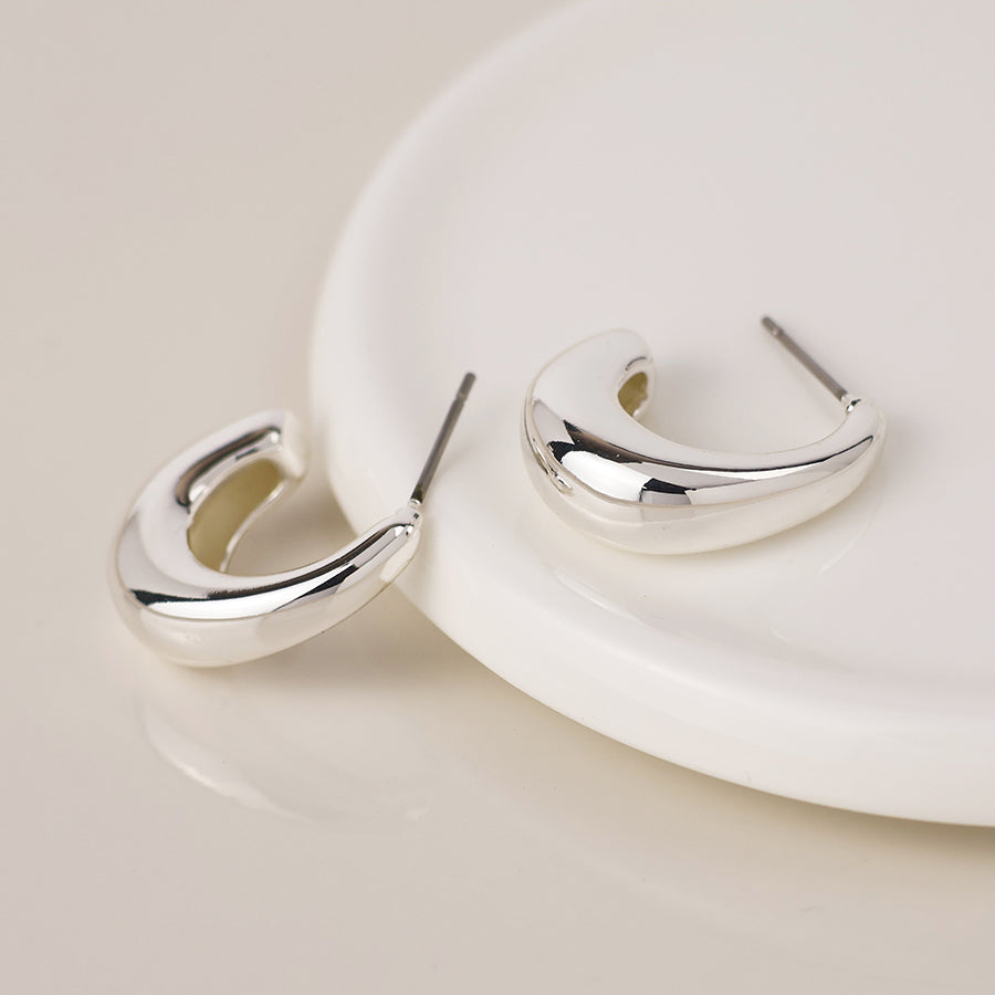 Smooth Curve Chunky Earrings