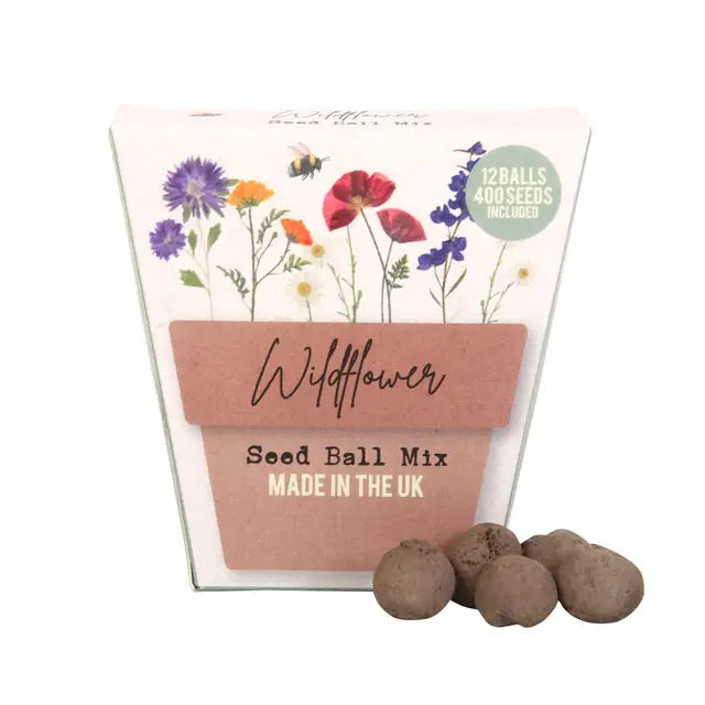 Wildflower Seedball Mix