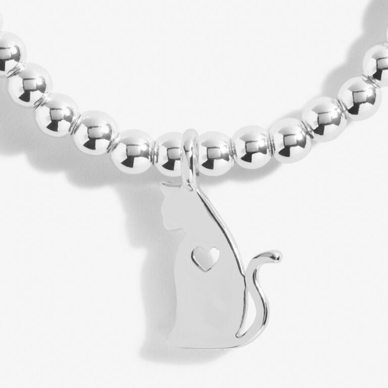 Joma Jewellery | a little Life Is Better With Cats Bracelet