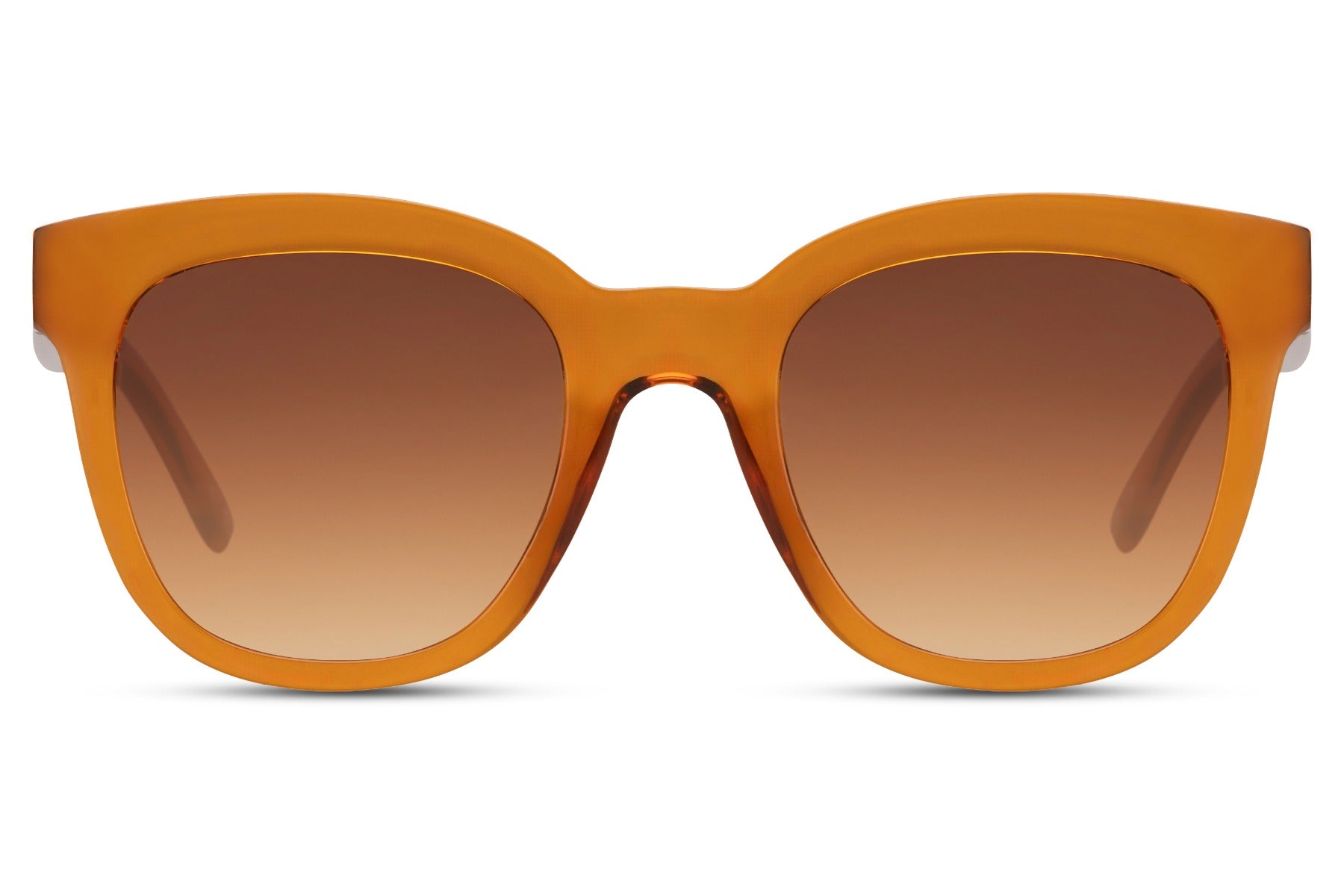 Recycled Sunglasses | 6840