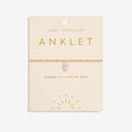 Joma Jewellery | Rose Quartz Crystal Anklet