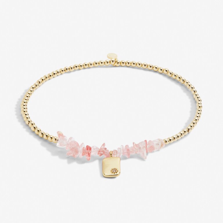 Joma Jewellery | Pink Crystal Anklet