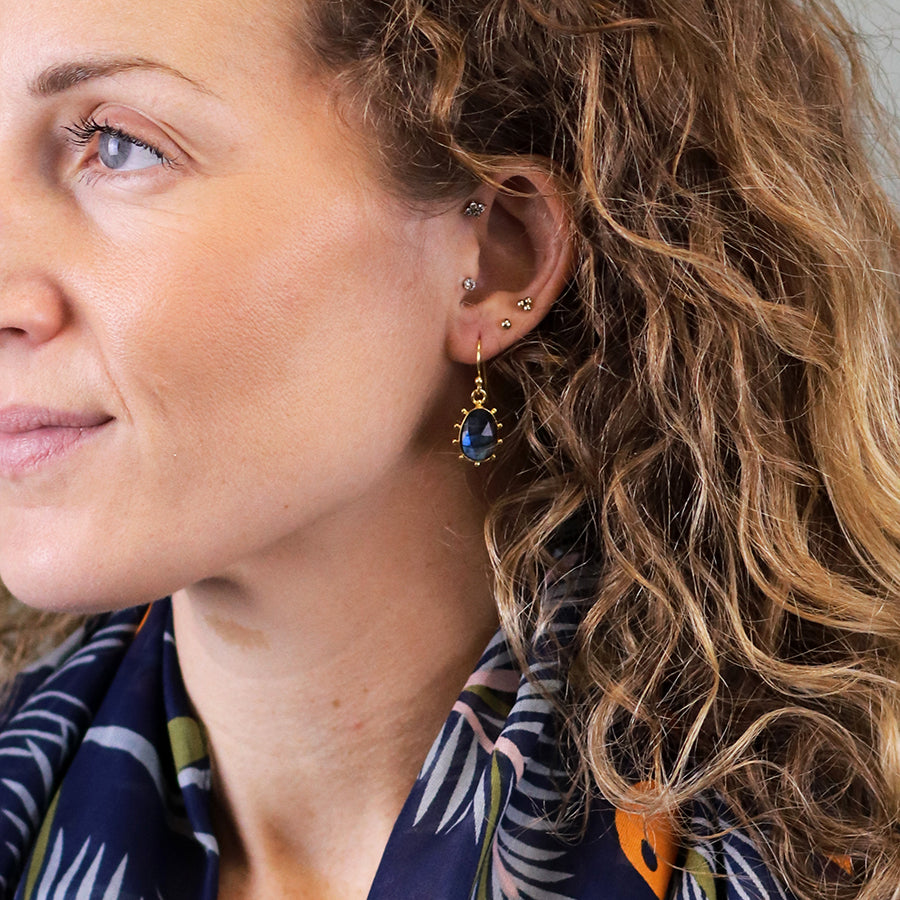 Fancy Edge Labradorite Earrings