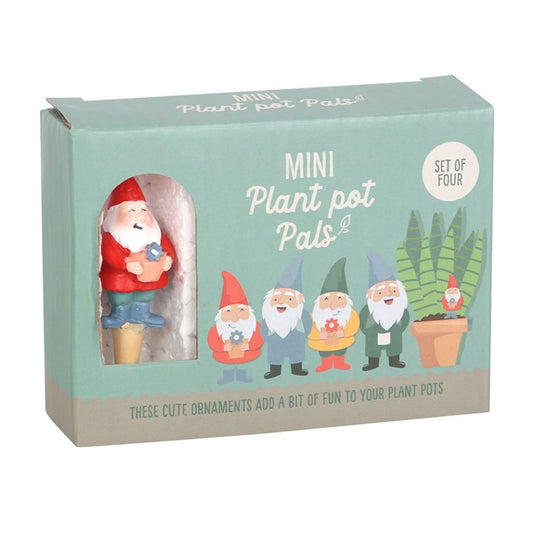 Set Of 4 Mini Gnome Plant Pot Pals