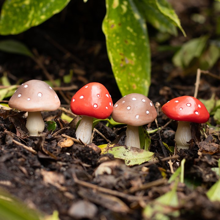 Set Of 4 Mini Mushroom Plant Pot Pals