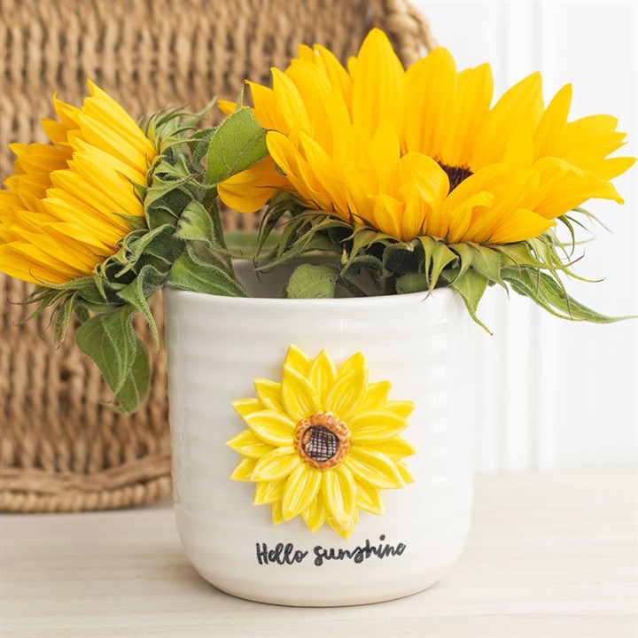 Hello Sunshine Ceramic Flower Plant Pot