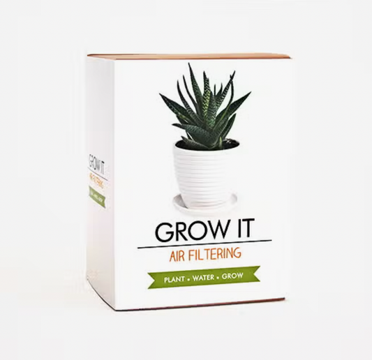 Grow Kit | Air Filtering