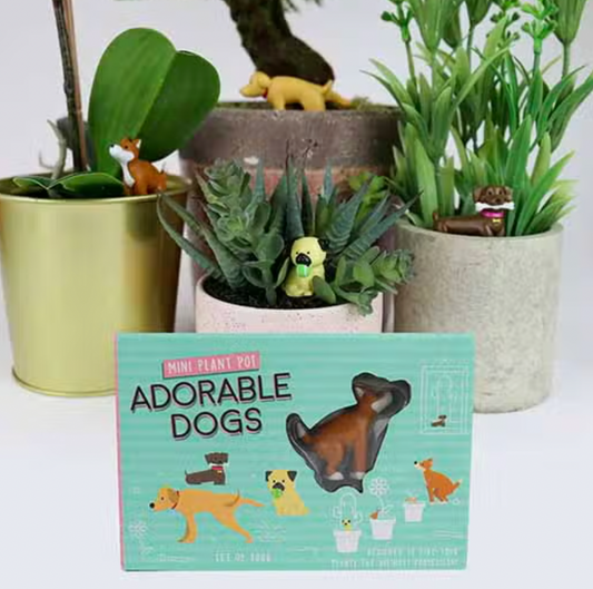 Adorable Dogs | Plant Pot Markers