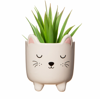 Mini Cat Planter On Legs