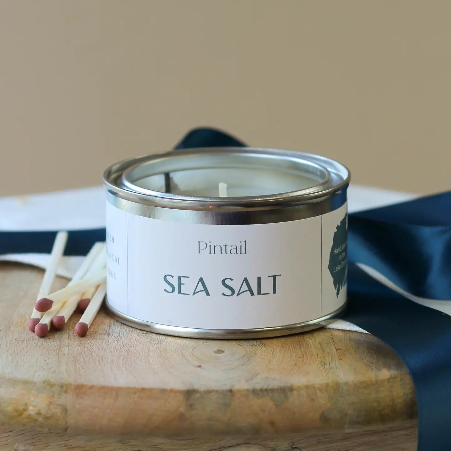 Pintail Paint Pot Candle Tin | Sea Salt