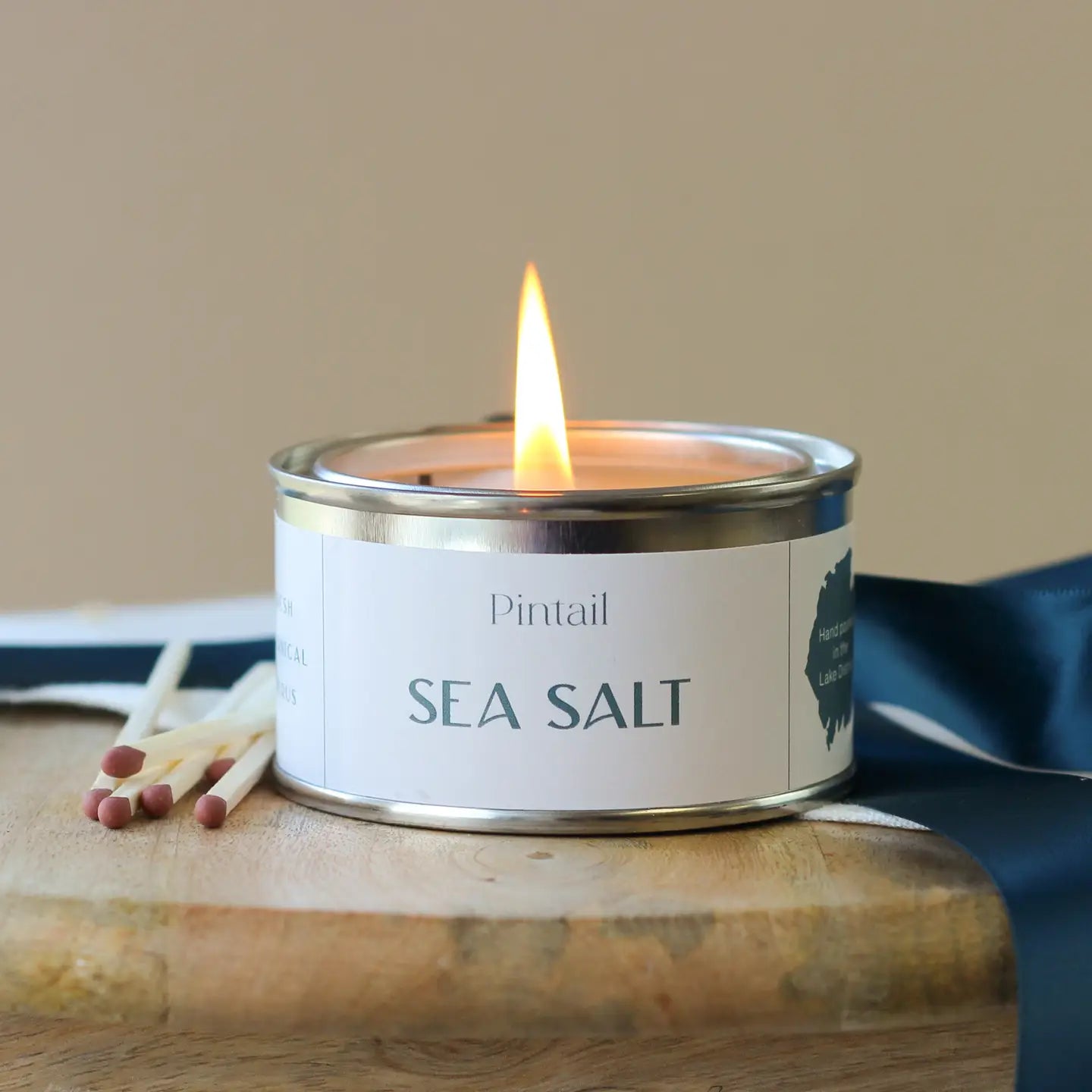 Pintail Paint Pot Candle Tin | Sea Salt