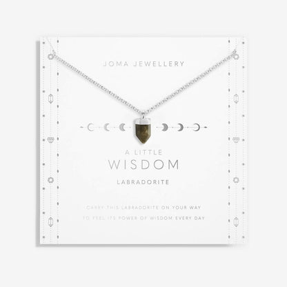 Affirmation Crystal A Little 'Wisdom' Necklace