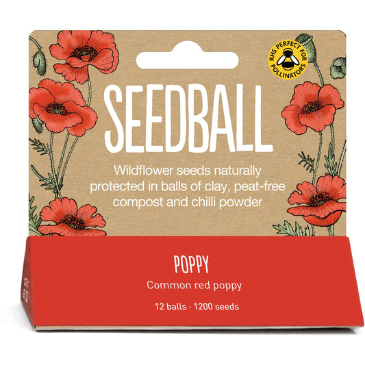 Seedball | Poppy