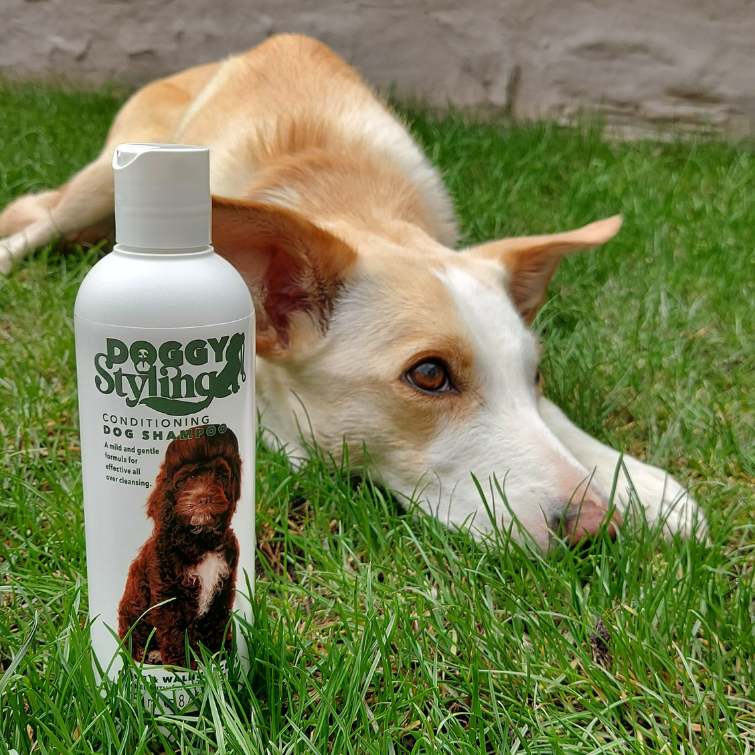 Doggy Styling | Conditioning Dog Shampoo 250ml