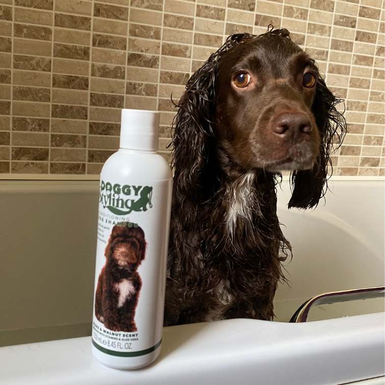 Doggy Styling | Conditioning Dog Shampoo 250ml