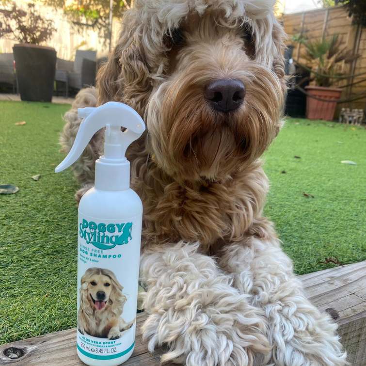 Doggy Styling | Rinse Free Dog Shampoo 250ml